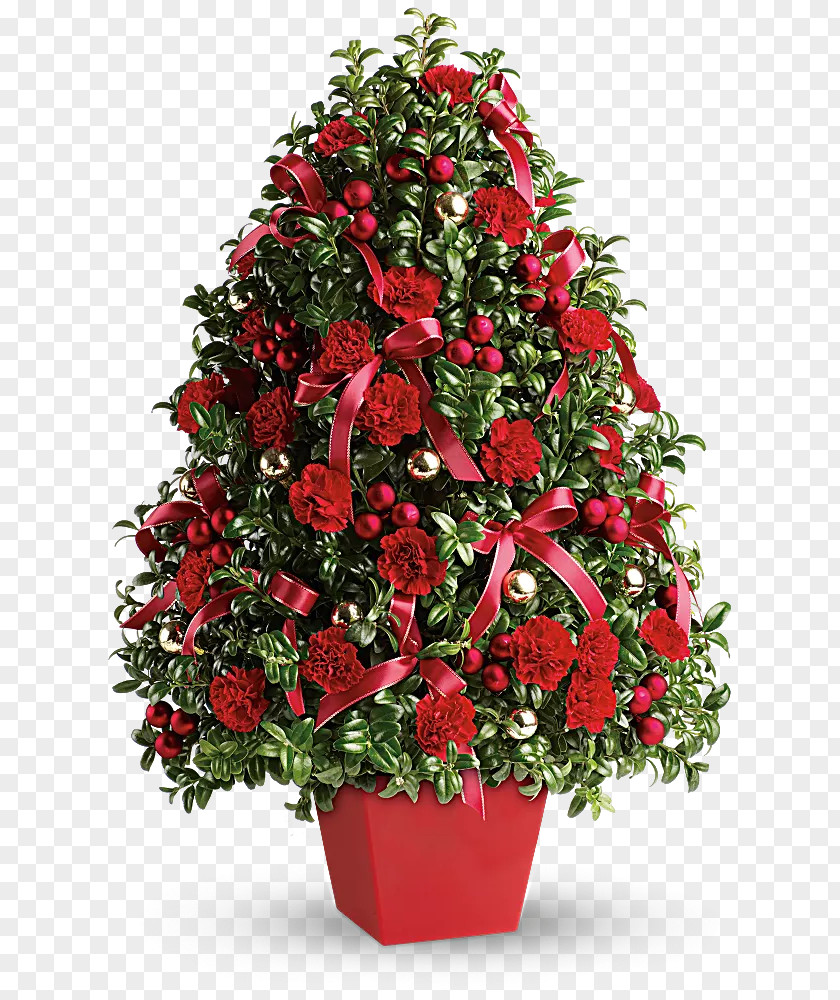 Balcony Flower Box Christmas Tree Floristry Deck The Halls Teleflora PNG