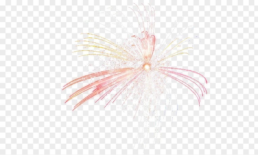 Fireworks Petal Pattern PNG