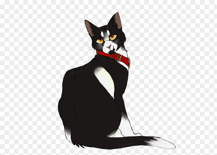Kitten Whiskers American Wirehair Black Cat Domestic Short-haired Warriors PNG