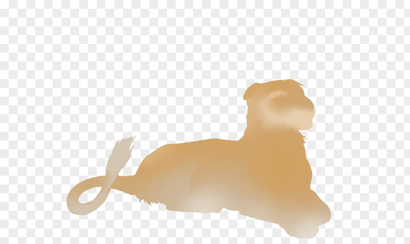 Puppy Lion Dog Birth Snout PNG