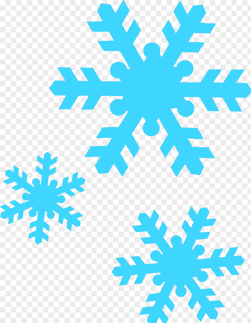 Snowflake Schema Winter The Snowy Day PNG