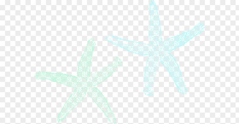 Starfish Marine Invertebrates Echinoderm Turquoise PNG