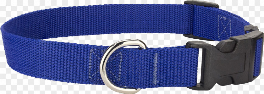 Dog Collar Fashion Watch Strap PNG