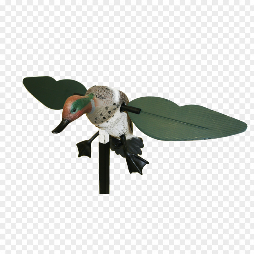 Duck Mallard Decoy Bird PNG