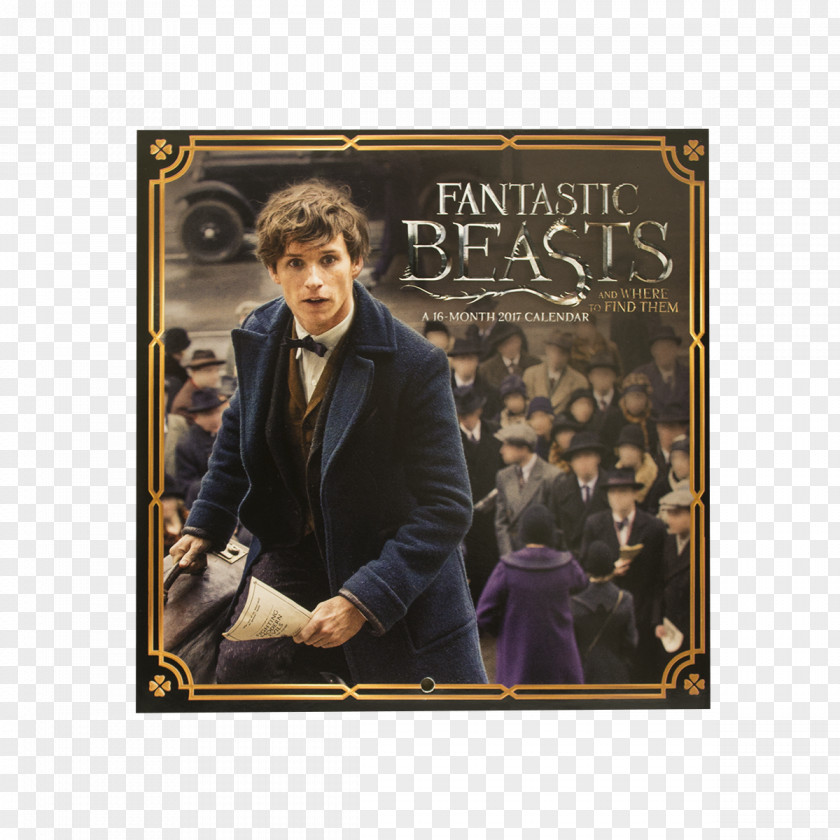Fantastic Beasts And Where To Find Them Newt Scamander Quidditch Through The Ages Fictional Universe Of Harry Potter PNG