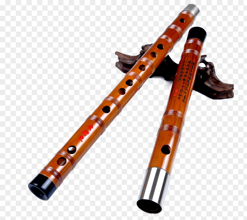 Flute Bansuri Pipe Flageolet PNG