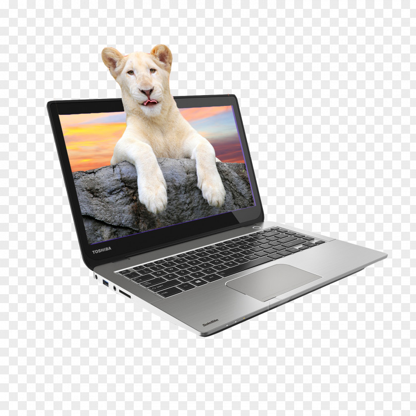 Lion Electronics Notebooks In Kind Laptop Intel Toshiba Satellite Device Driver PNG