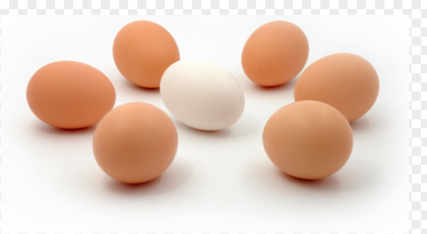 Poultry Eggs Egg White PNG