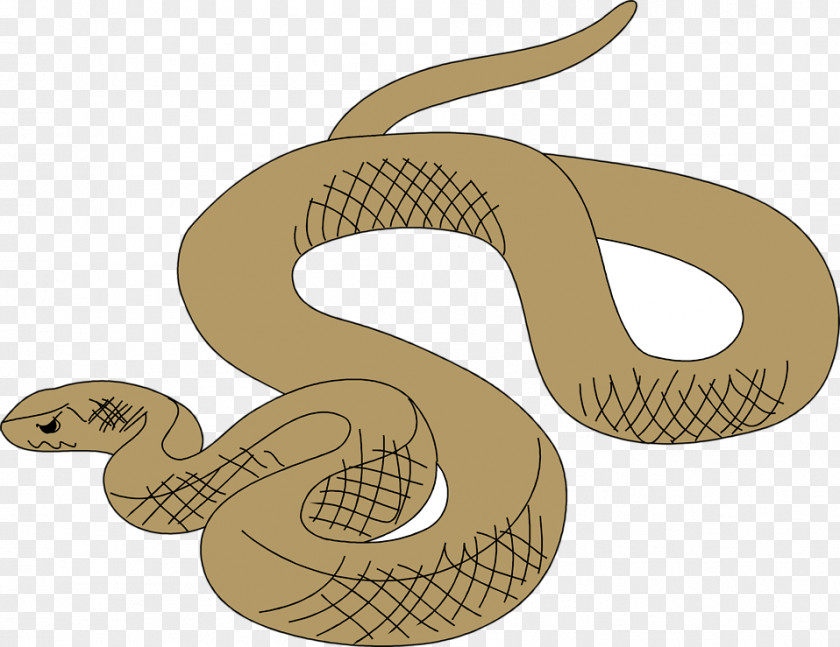 Snakes Common Garter Snake Rattlesnake Clip Art PNG