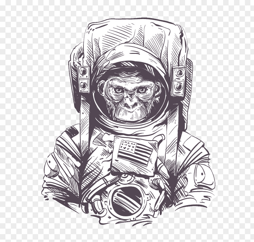 Astronaut Space Suit Monkeys And Apes In Drawing PNG