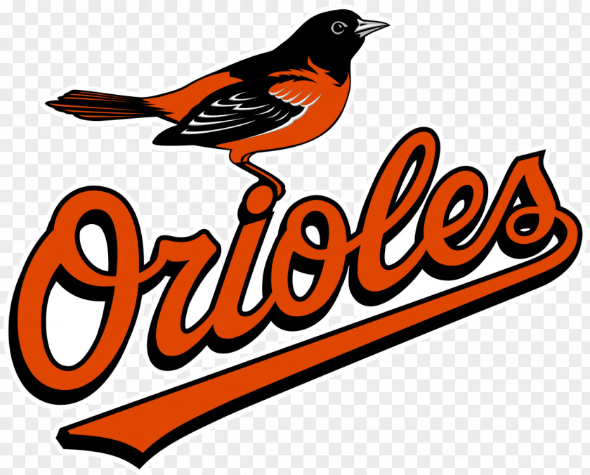 Baseball Oriole Park At Camden Yards Baltimore Orioles MLB Spring Training Washington Nationals PNG