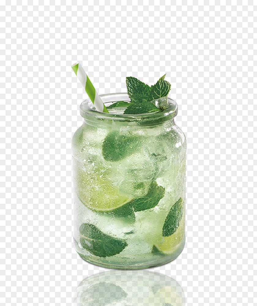 Mojito Tablas Point Cocktail Garnish Juice PNG