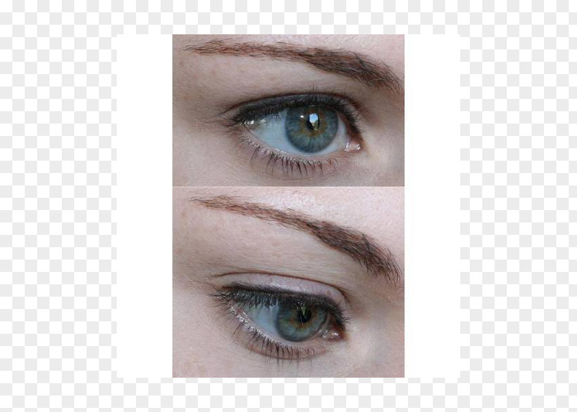 Eye Liner Eyelash Extensions Shadow Kohl Mascara PNG