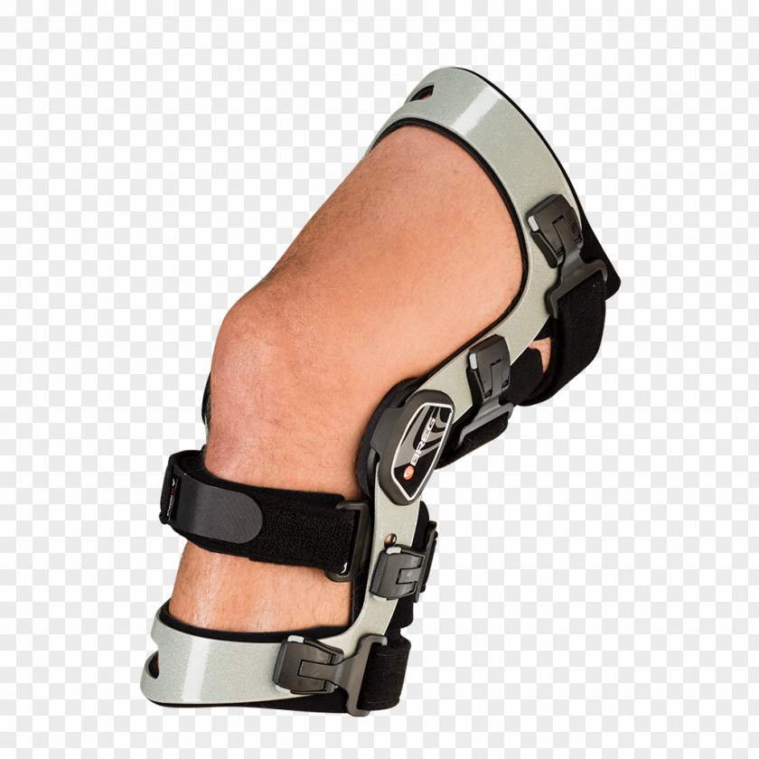 Knee Anterior Cruciate Ligament Posterior Orthotics PNG