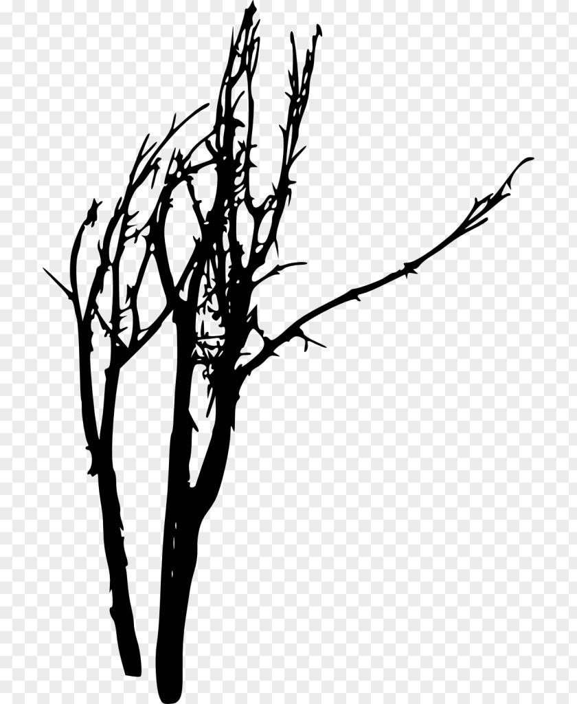 Silhouette Twig Black And White PNG