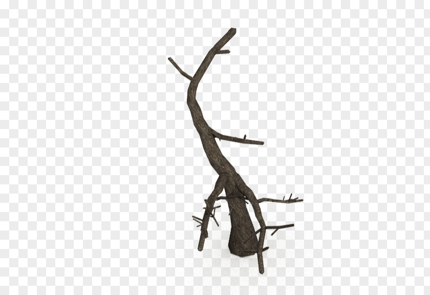 Tree Bark Twig Wood PNG