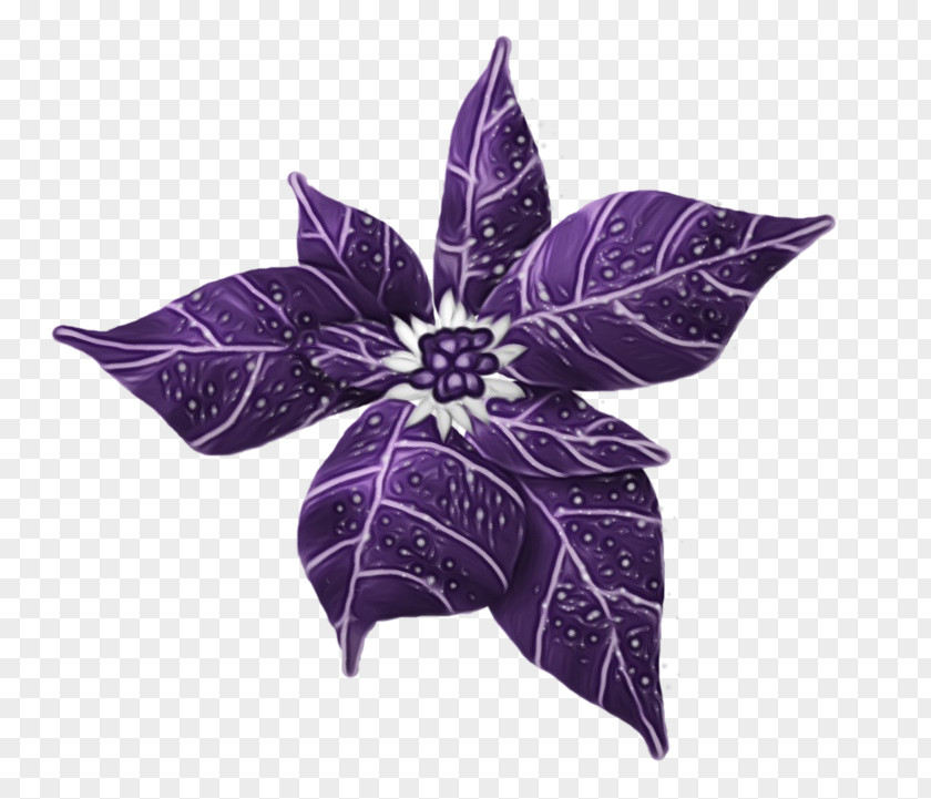 Wildflower Petal Purple Violet Flower Plant Leaf PNG