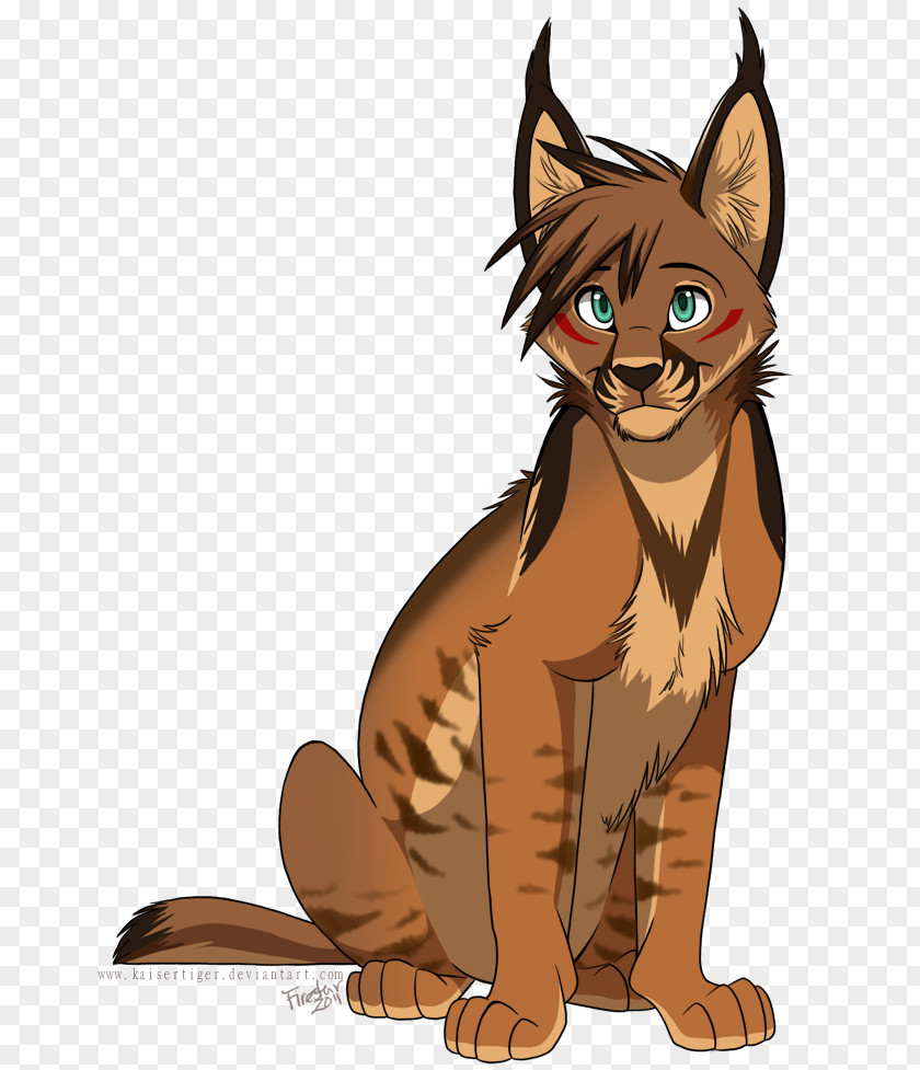 Cat Whiskers Wildcat Tiger Eye PNG