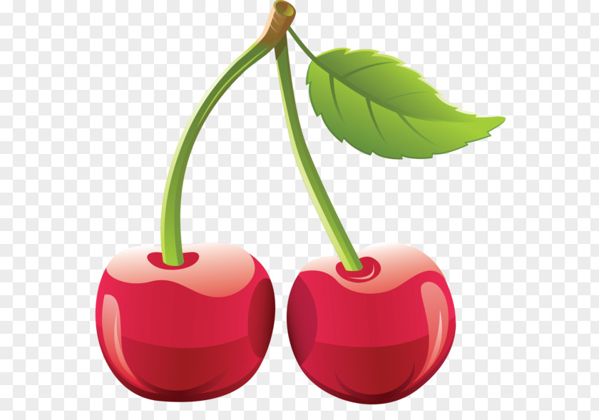 Cherry Clip Art PNG