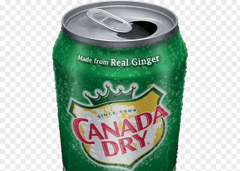 Dry Taste Fizzy Drinks Ginger Ale Beer Root Vernors PNG