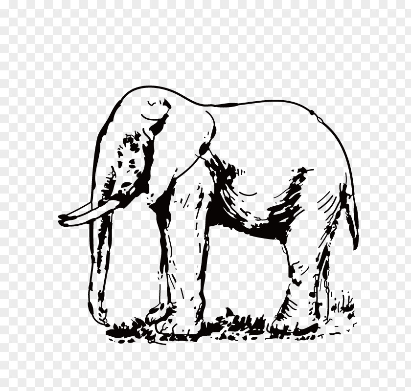 Elephant Asian White Clip Art PNG