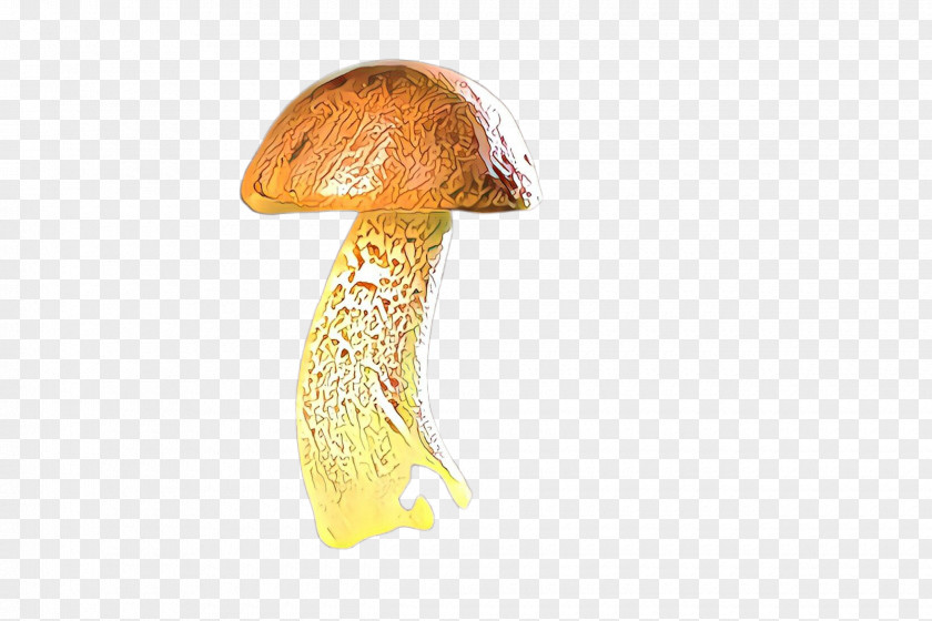 Mushroom Penny Bun Bolete Edible Agaricus PNG