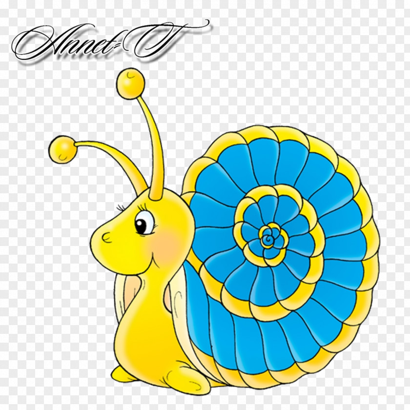 Snail Drawing Photography PNG