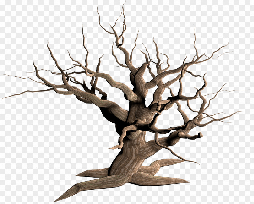 Tree Transparent Snag Clip Art PNG