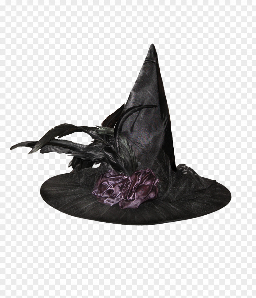 Witch NecessaryHat Hat Boszorkxe1ny Magician PNG