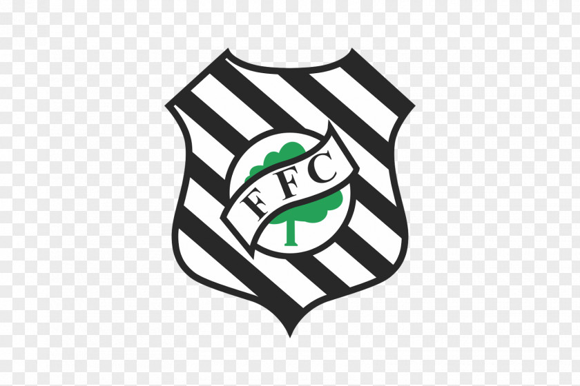 Football Figueirense FC Santa Catarina Campeonato Brasileiro Série A Catarinense Boa Esporte Clube PNG