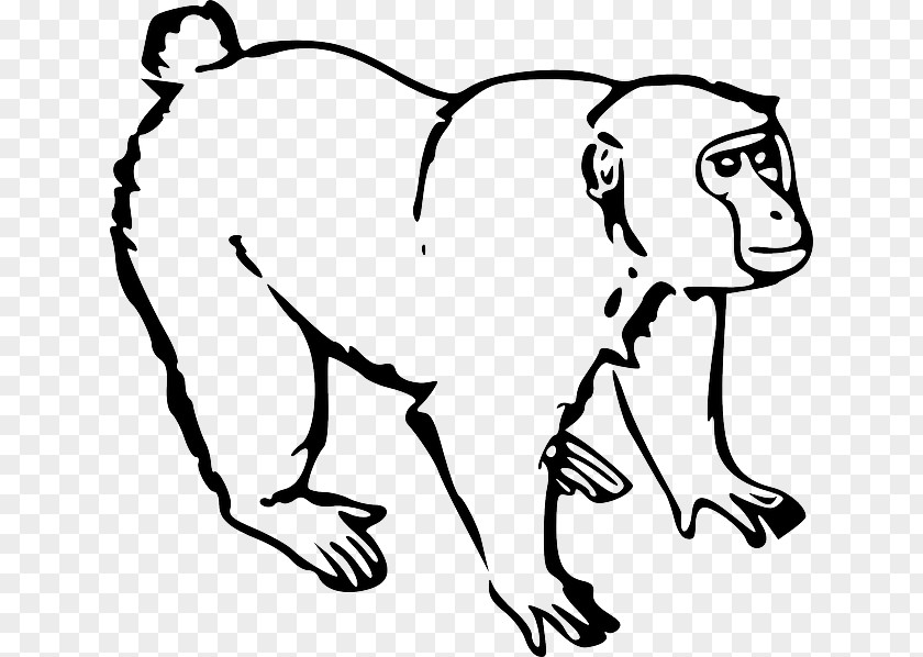 Line Drawing Monkey Ape Clip Art PNG