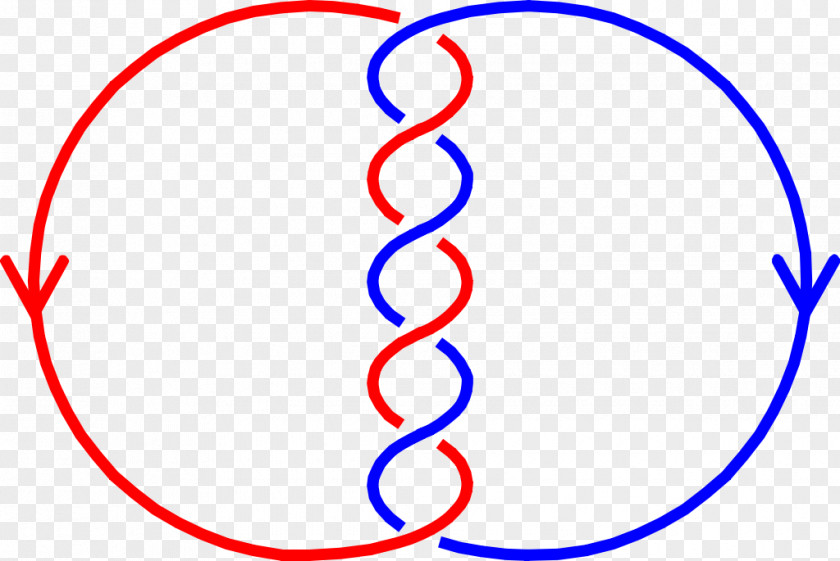 Number One Linking Curve Knot Theory Mathematics PNG