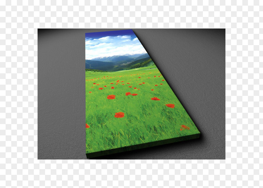 Panorama Watercolor Ecosystem Meadow Rectangle PNG
