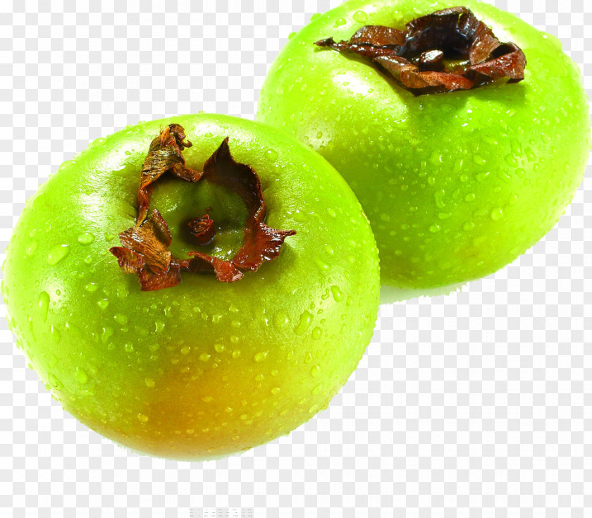 Persimmon Japanese Fruit Food PNG