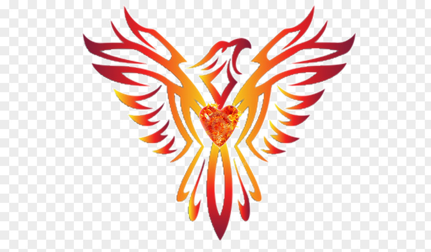 Phoenix Wings Clip Art Image Vector Graphics Zazzle PNG