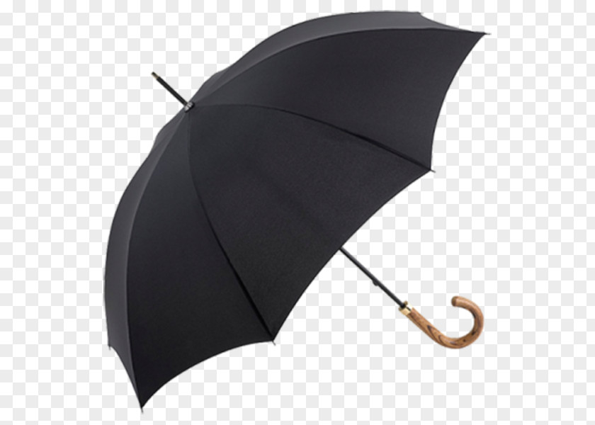 Umbrella G4Free RainStoppers EEZ-Y Canopy PNG