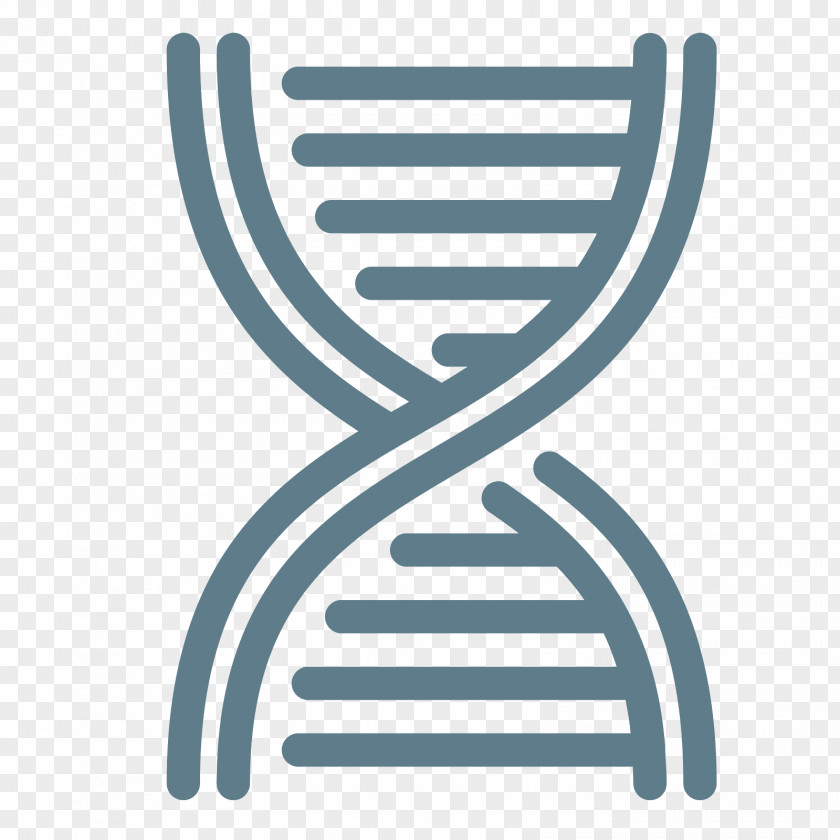 Vector Nucleic Acid Double Helix DNA Methyltransferase Methylation PNG