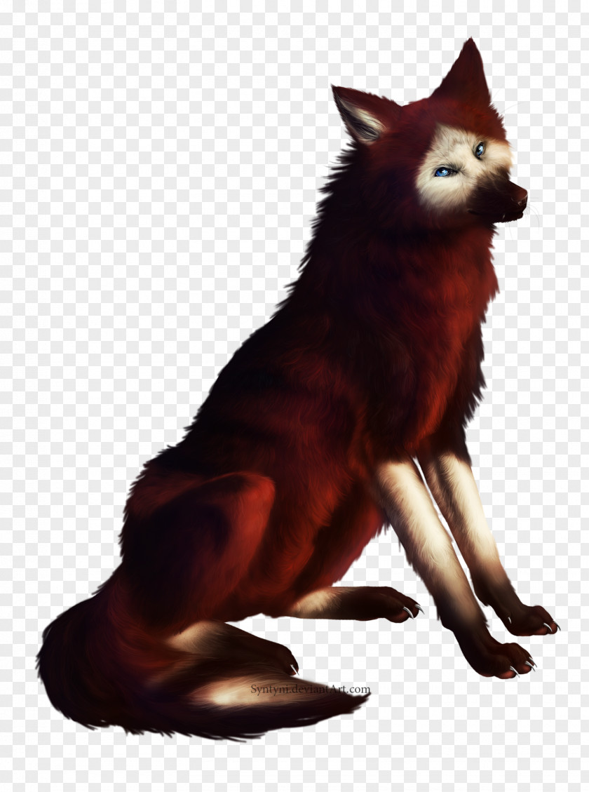 Dog Red Fox Breed Dhole Syntyni PNG