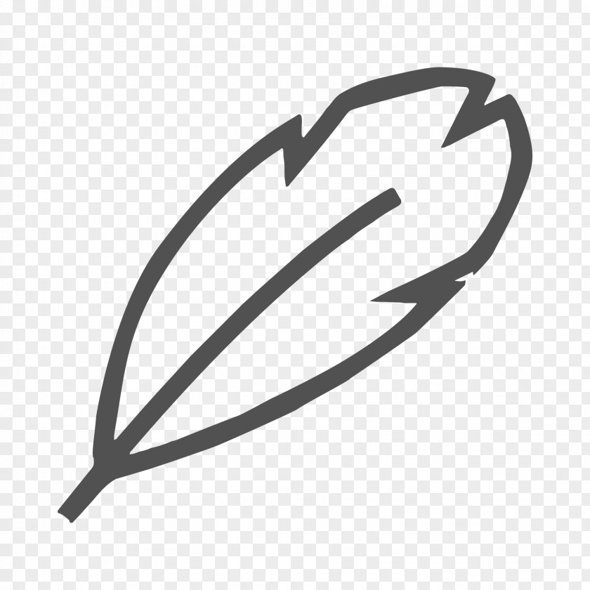 Feather Camera PNG