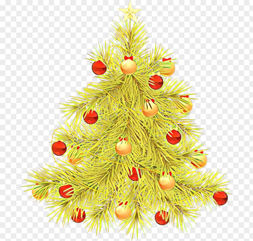 Plant Pine Christmas Tree PNG