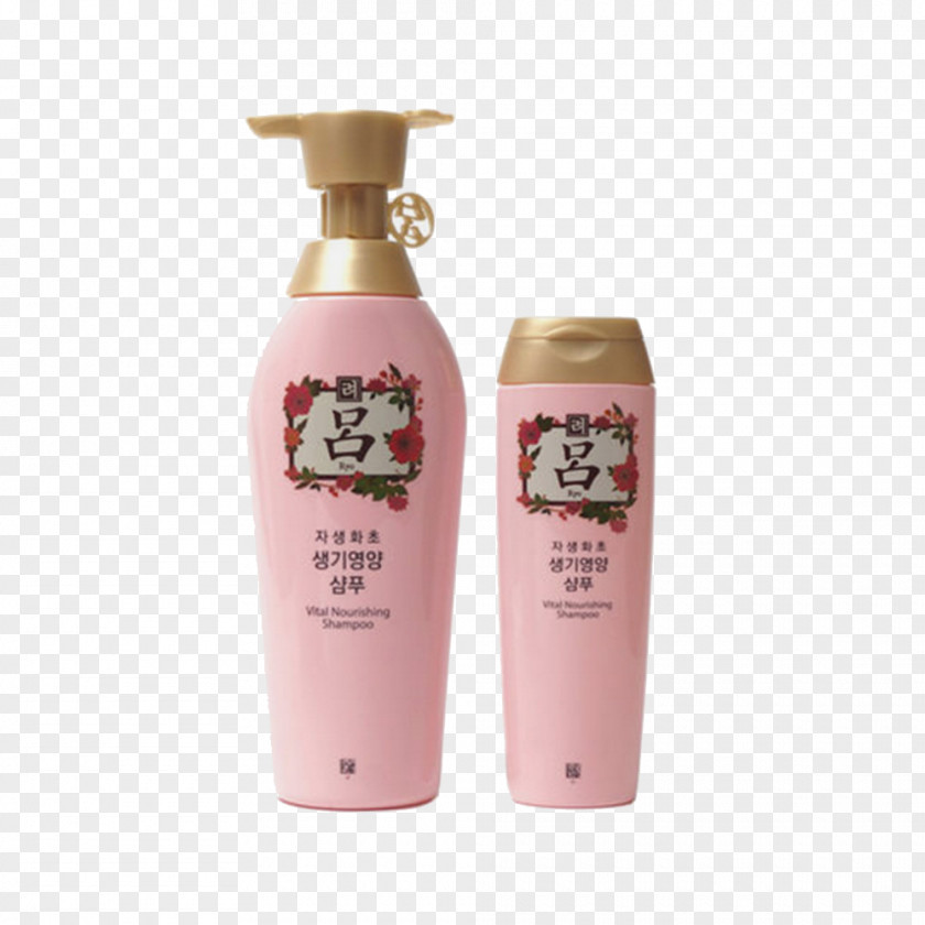 Powder Shampoo South Korea Lip Balm Hair Conditioner Capelli PNG