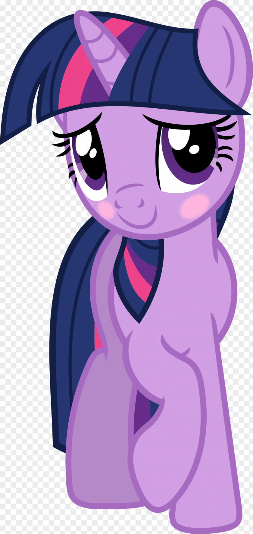 Sparkle Twilight Pony Rarity Rainbow Dash Pinkie Pie PNG