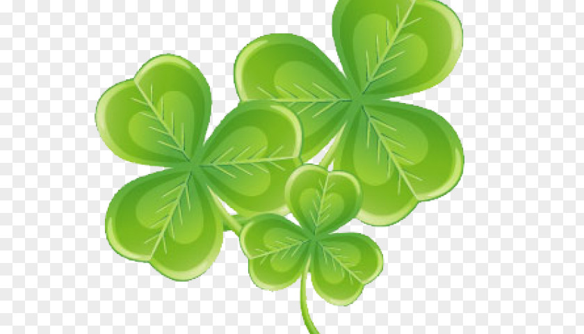 Wood Sorrel Family Petal Shamrock PNG