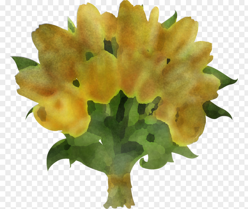 Flower Yellow Plant Petal Lantana PNG