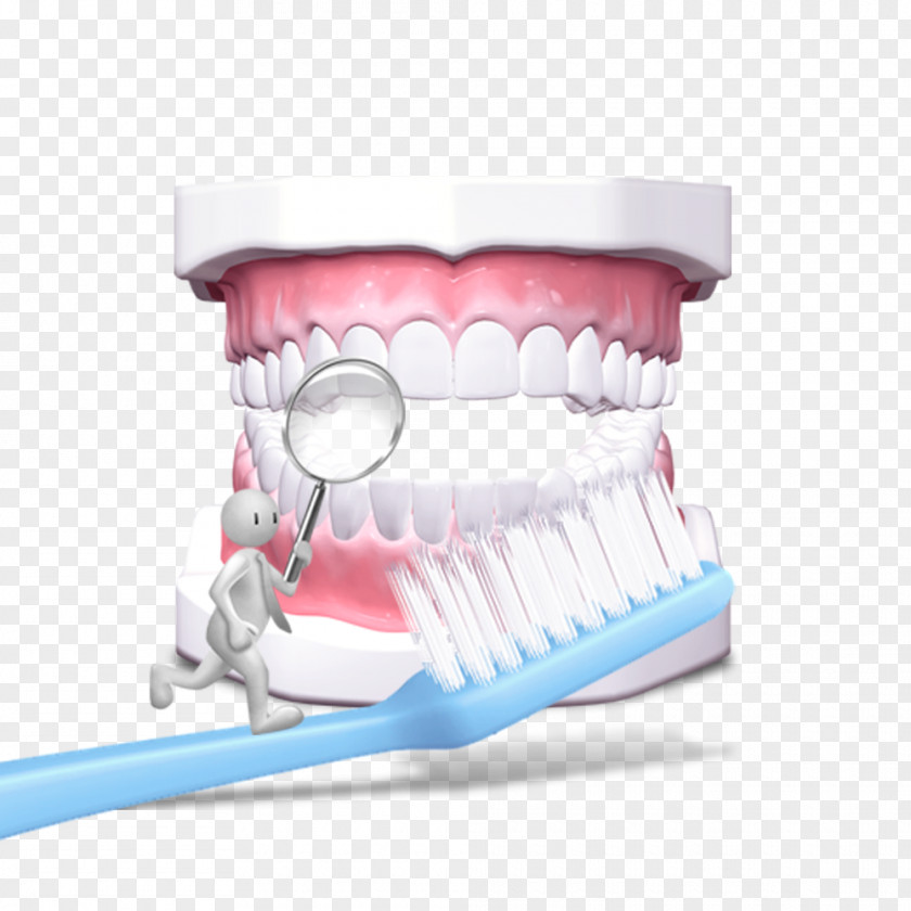 Free Dental Toothbrush Pull Material Dentistry Tooth Gums PNG