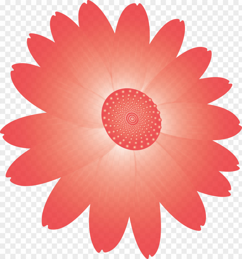 Marguerite Flower Spring PNG