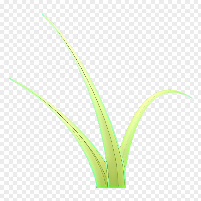 Plant Grass Flower Family Leaf PNG