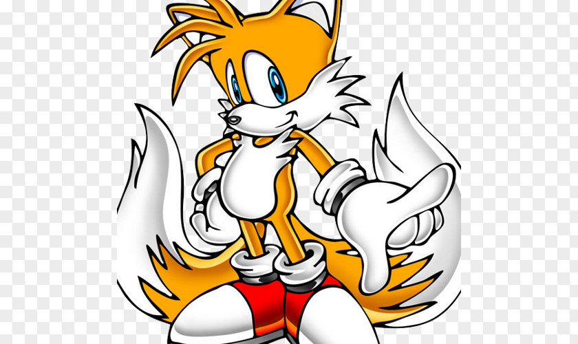 Sonic The Hedgehog Tails Knuckles Echidna Amy Rose Doctor Eggman Cream Rabbit PNG