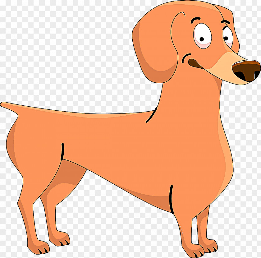 Sporting Group Dachshund Dog Breed Cartoon Clip Art PNG