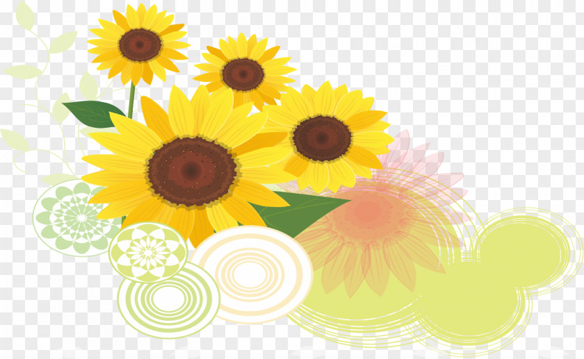 Sunflower Pattern Trend Common Euclidean Vector PNG